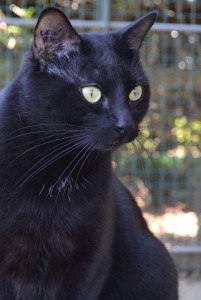 14322219_1284526271566691_7218323765307553553_n