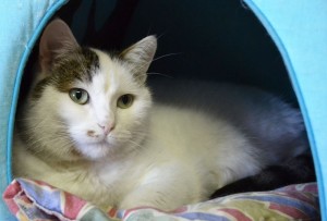 15000043_1336559323030052_8618608868792274575_o