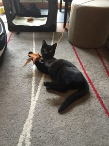 part_1479042201405_img_30900